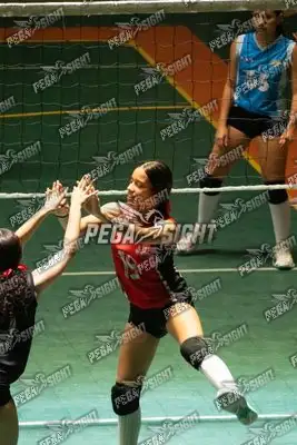 Foto de VOLEY TIME