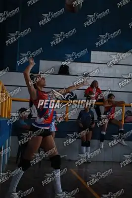 Foto de QUILLA CLUB