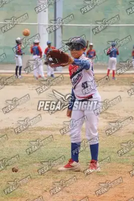 Foto de PELINOR