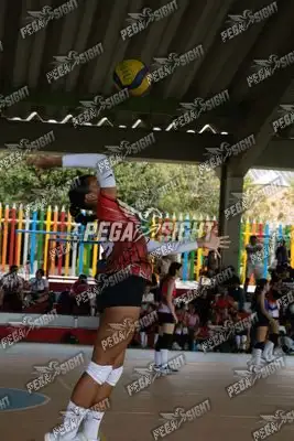 Foto de COVOLEY