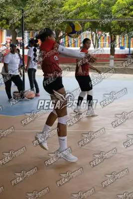 Foto de COVOLEY