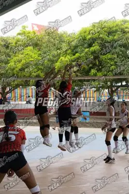 Foto de COVOLEY