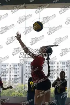 Foto de COVOLEY