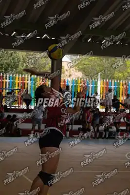 Foto de COVOLEY