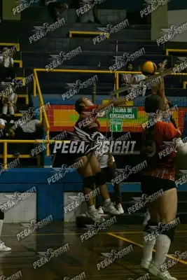 Foto de COVOLEY