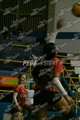 Foto de COVOLEY