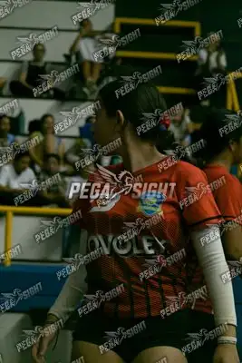 Foto de COVOLEY