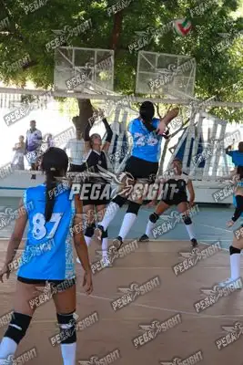 Foto de DVA
