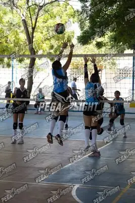 Foto de DVA