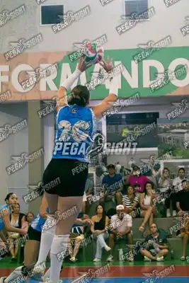 Foto de DORAL