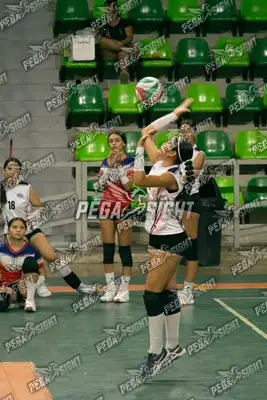 Foto de CARIBE VOLEY
