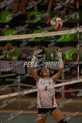 Foto de CARIBE VOLEY