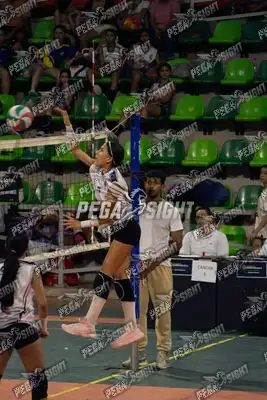 Foto de CARIBE VOLEY
