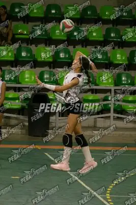 Foto de CARIBE VOLEY