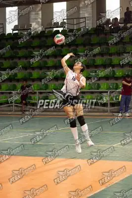 Foto de CARIBE VOLEY
