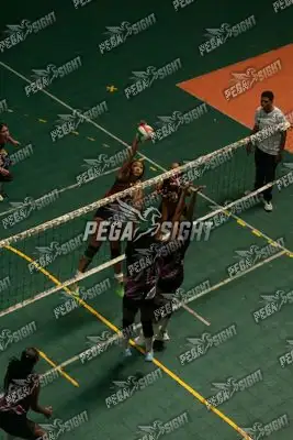 Foto de SENDERO