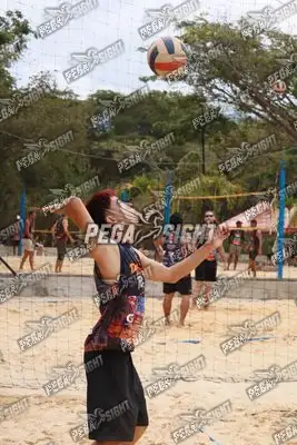 Foto de SURVIVES