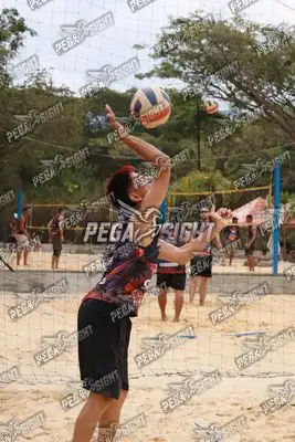 Foto de SURVIVES