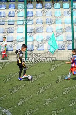 Foto de SANTO F.C.