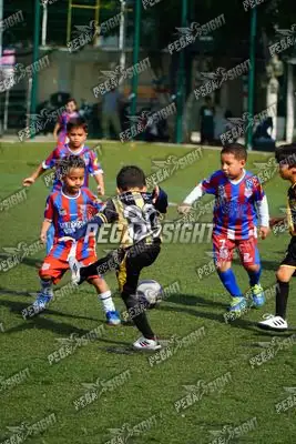 Foto de SANTO F.C.