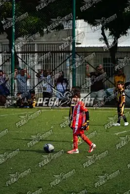 Foto de SANTO F.C.