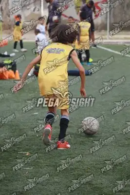 Foto de SANTO F.C.