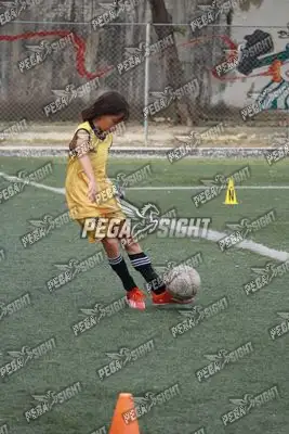 Foto de SANTO F.C.