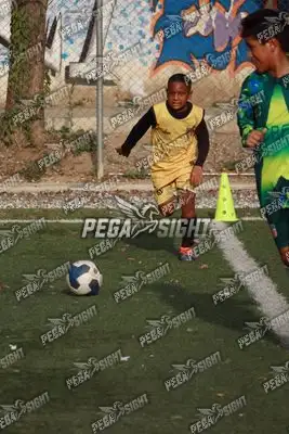 Foto de SANTO F.C.