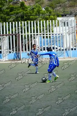 Foto de SEMILLERO SAMARIO