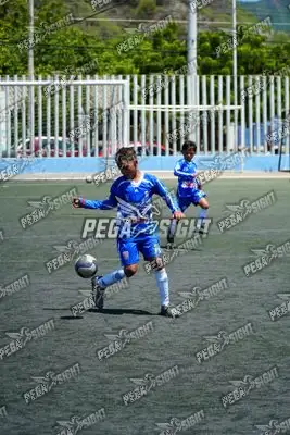 Foto de SEMILLERO SAMARIO