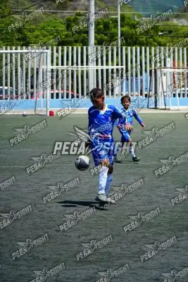 Foto de SEMILLERO SAMARIO