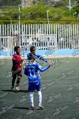 Foto de SEMILLERO SAMARIO