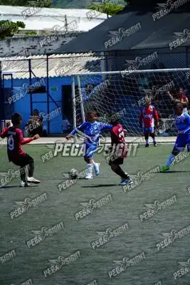 Foto de SEMILLERO SAMARIO