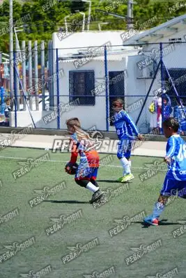 Foto de SEMILLERO SAMARIO