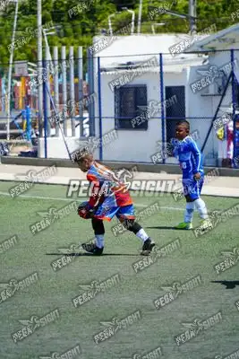 Foto de SEMILLERO SAMARIO
