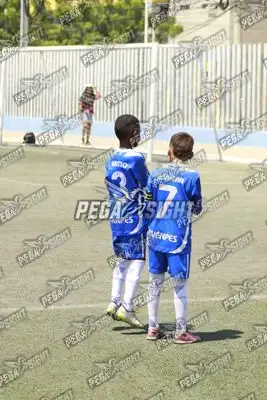 Foto de SEMILLERO SAMARIO
