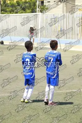 Foto de SEMILLERO SAMARIO