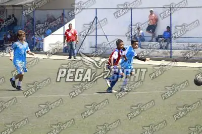Foto de GENERACION DE CAMPEONES