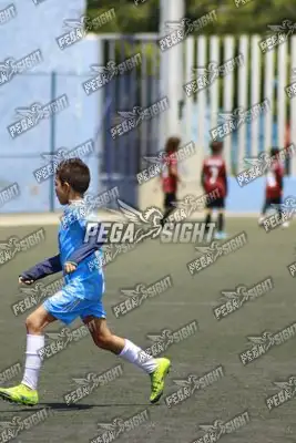 Foto de GENERACION DE CAMPEONES
