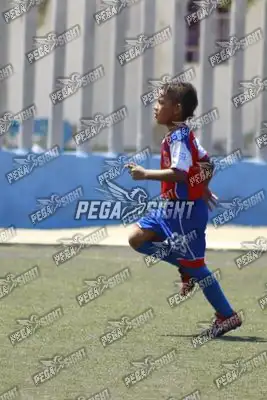Foto de FENIX FC