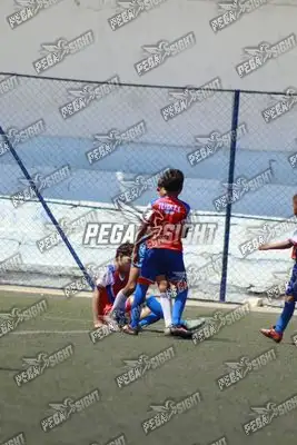 Foto de FENIX FC