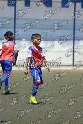 Foto de FENIX FC
