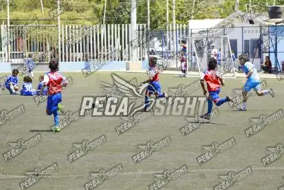 Foto de FENIX FC