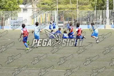 Foto de FENIX FC
