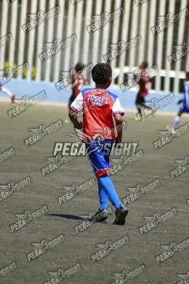 Foto de FENIX FC