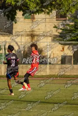 Foto de UNIVERSITARIO ATLETIC