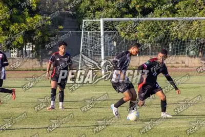 Foto de UNIVERSITARIO ATLETIC