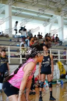 Foto de curinca