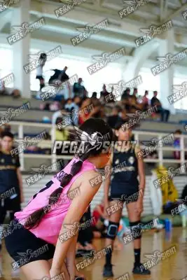 Foto de curinca