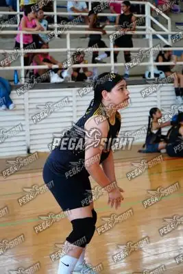 Foto de El cisne